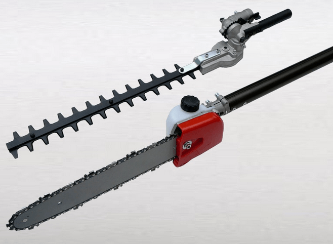 Chainsaw vs Pole Pruner: what is the difference?